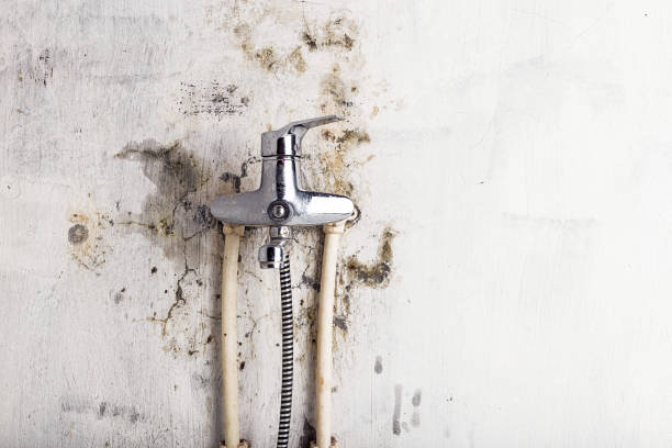 Hawthorn Woods, IL Mold Remediation Company